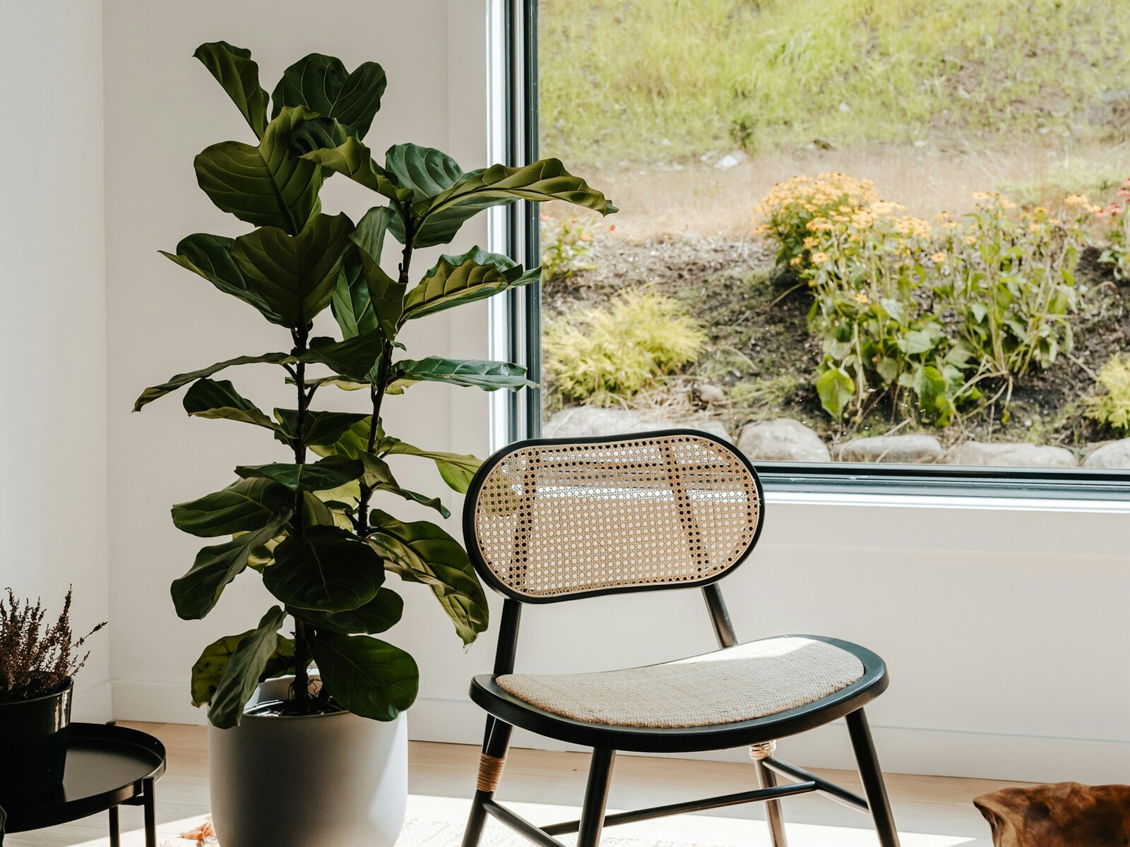 Two armchairs by a window in a quiet room
